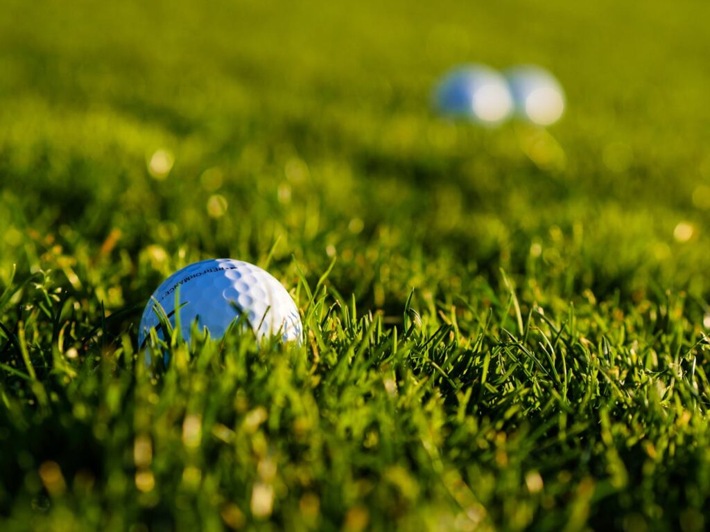 A detailed view of a golf ball resting on vibrant green grass, perfect for sports themes.